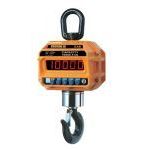 CAS Crane Scales