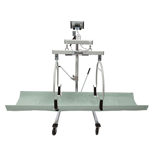 Health O Meter 2000KL Patient Lift Scale - Hogentogler.com